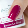 Arriva La Diva Gel Polish