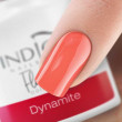 Dynamite Gel Polish